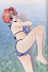 BUY NEW sakura diaries - 87118 Premium Anime Print Poster